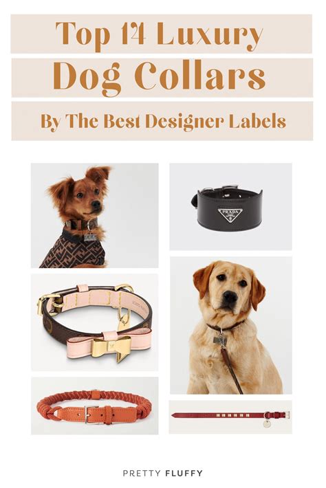 prada nylon dog harness|best luxury dog collars.